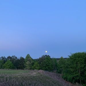 Meet your Posher, Jack